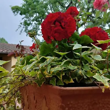V P 23 Mugello Apartment